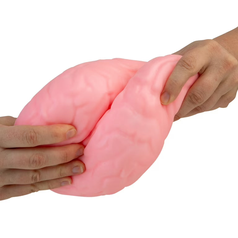 Easy Squeezy Brain Squishy